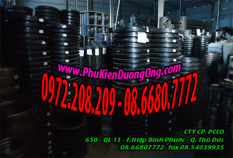 mặt bích Ansi class 600